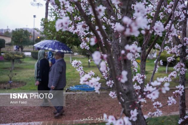 رگبار باران در شمال تهران
